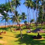 Советы туристам — едем на остров Шри-Ланка!