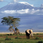Кения — любителям экстремального туризма!