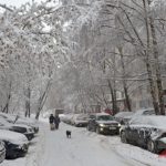 Синоптики рассказали, какая погода ожидает жителей Москвы в новогоднюю ночь