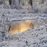 Вильфанд: в Москву на несколько дней придет нормальная зимняя погода