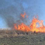 В России потушены все природные пожары