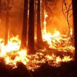 Ученые предупредили об угрозе природных пожаров на границе РФ и Казахстана