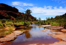 Photo of Исследование природы Австралии