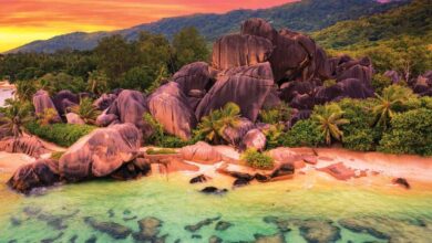 Photo of Отдых на Сейшельских островах с друзьями