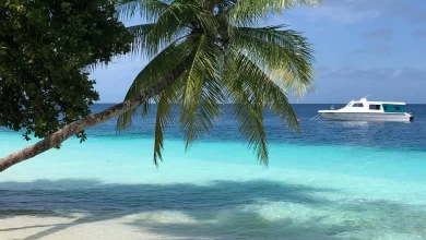 Photo of Отдых на Мальдивах: лучшие предложения