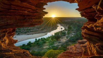 Photo of Австралия: природа и экзотика