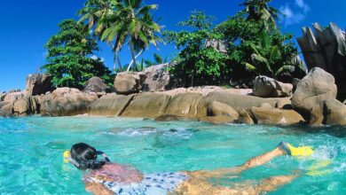 Photo of Отдых на Сейшелах: роскошь и туркристальные воды